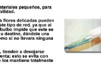 REDES RETRACTILES